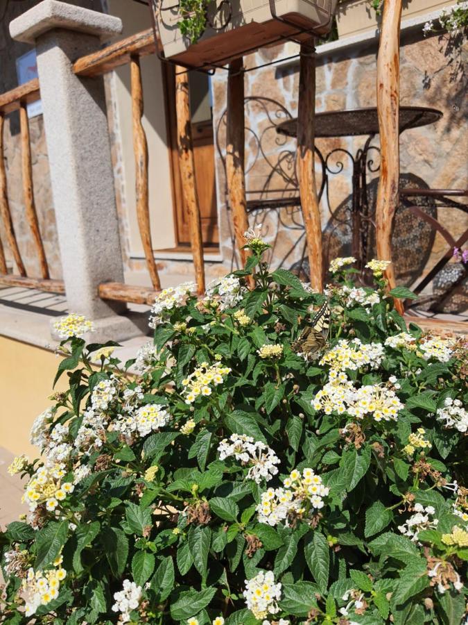Al Pez Exclusive Rooms Olbia Ngoại thất bức ảnh
